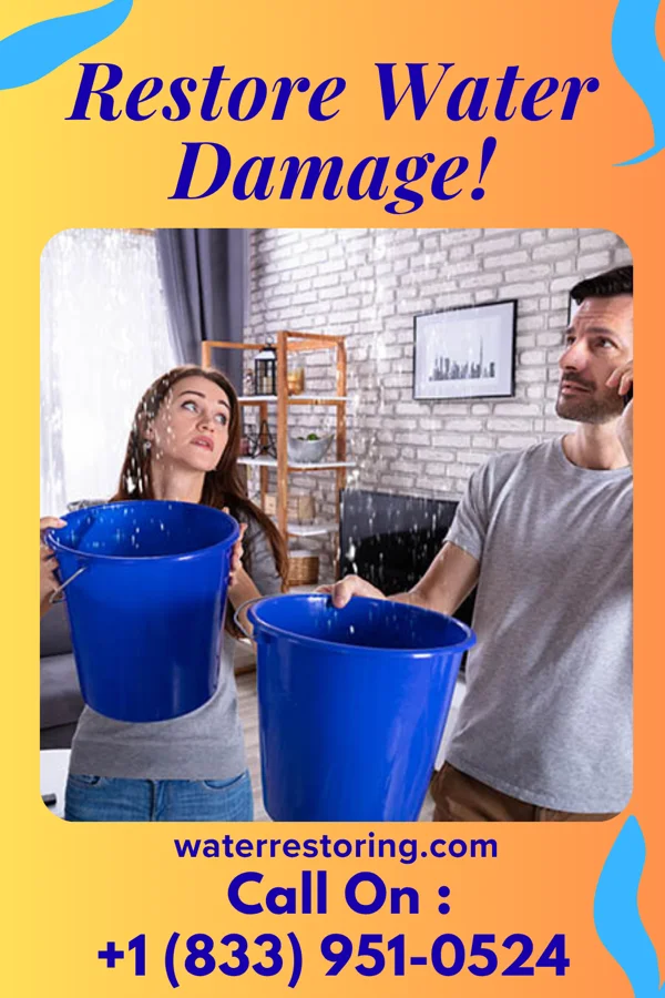 water restoration Local Sewage Cleanup Network Fishers Island
